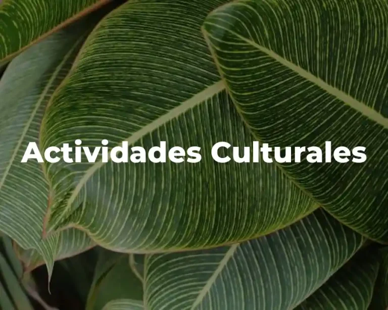 Actividades Culturales