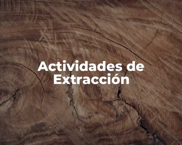 Actividades de Extracción