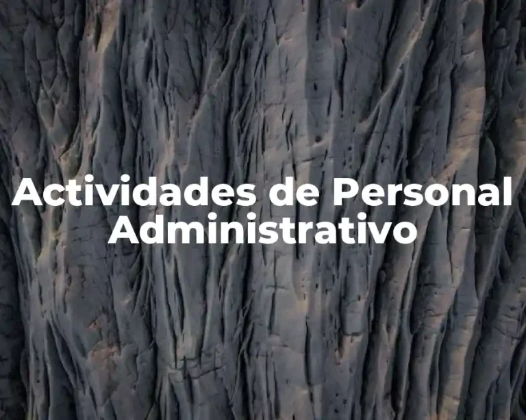 Actividades de Personal Administrativo