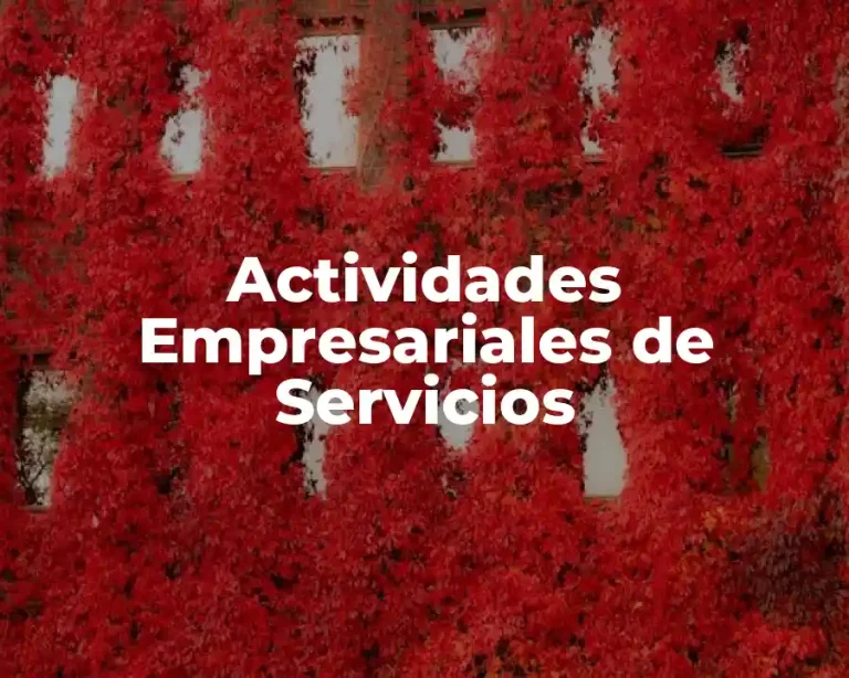 Actividades Empresariales de Servicios