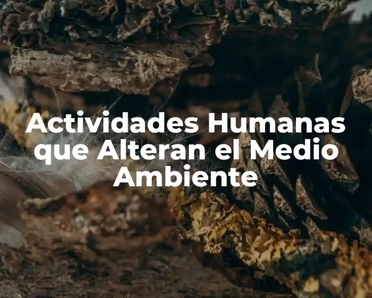 Actividades Humanas que Alteran el Medio Ambiente