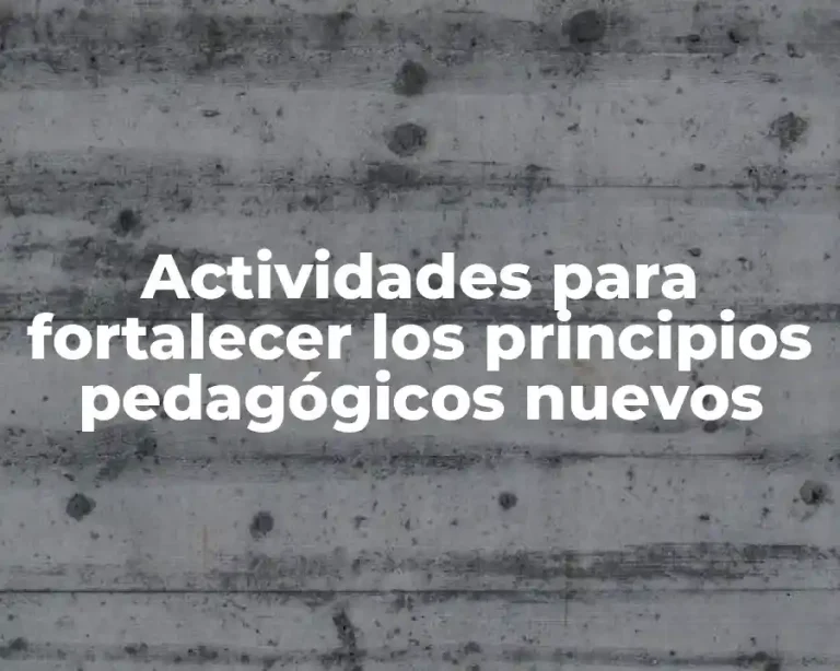 Actividades para fortalecer los principios pedagógicos nuevos