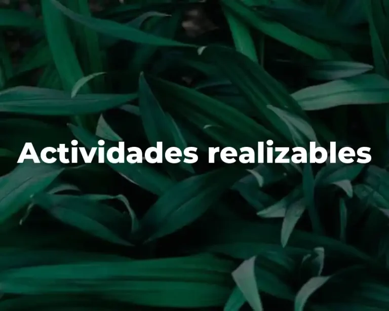 Actividades realizables