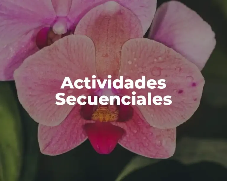 Actividades Secuenciales