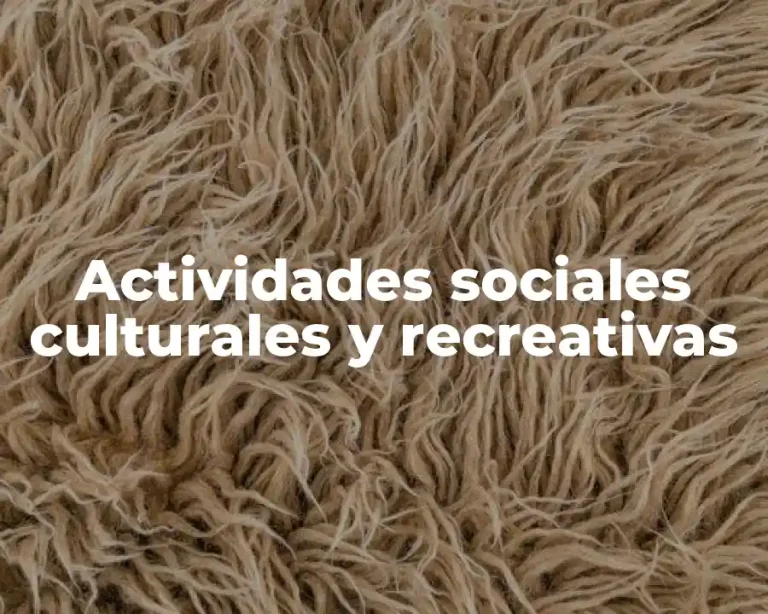 Actividades sociales culturales y recreativas