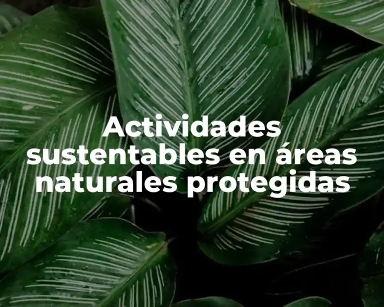 Actividades sustentables en áreas naturales protegidas