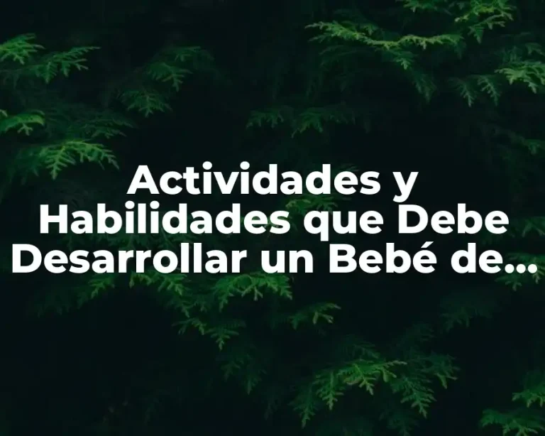 Actividades y Habilidades que Debe Desarrollar un Bebé de 9 Meses