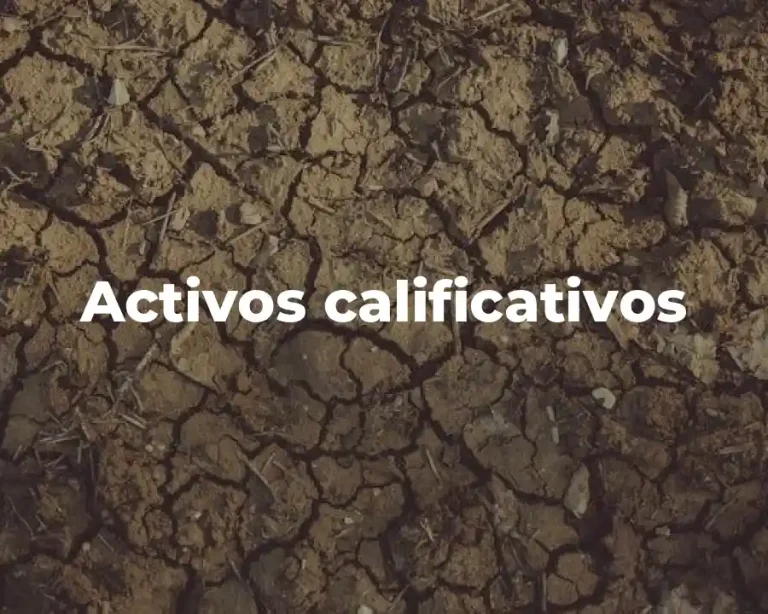 Activos calificativos