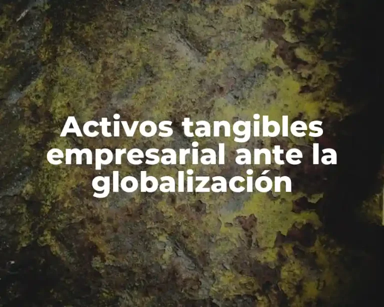 Activos tangibles empresarial ante la globalización