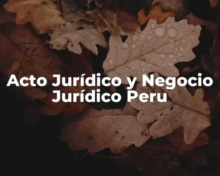 Acto Jurídico y Negocio Jurídico Peru
