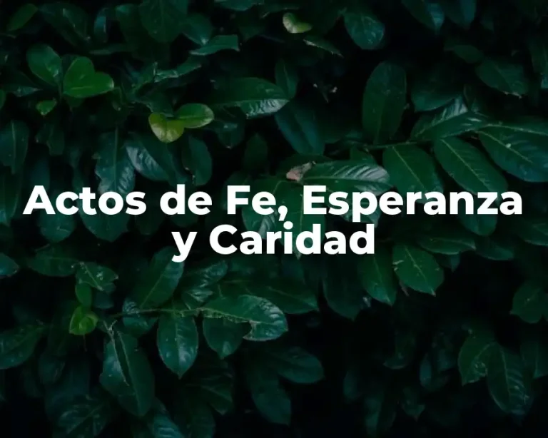 Actos de Fe, Esperanza y Caridad