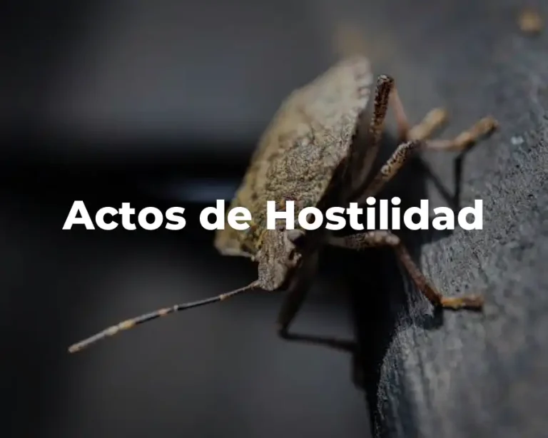 Actos de Hostilidad