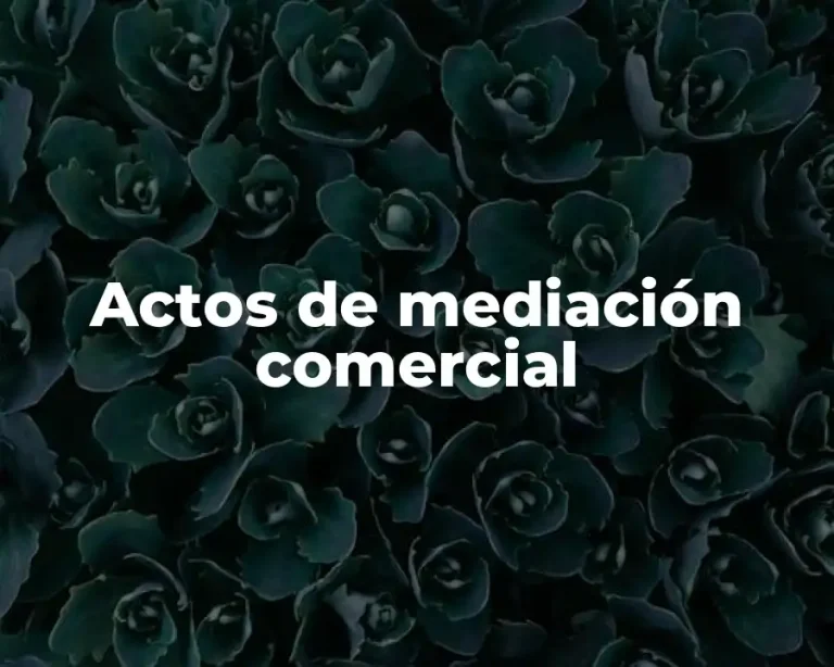 Actos de mediación comercial
