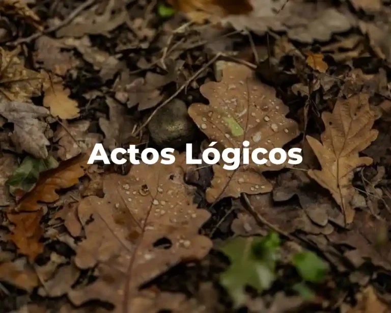 Actos Lógicos