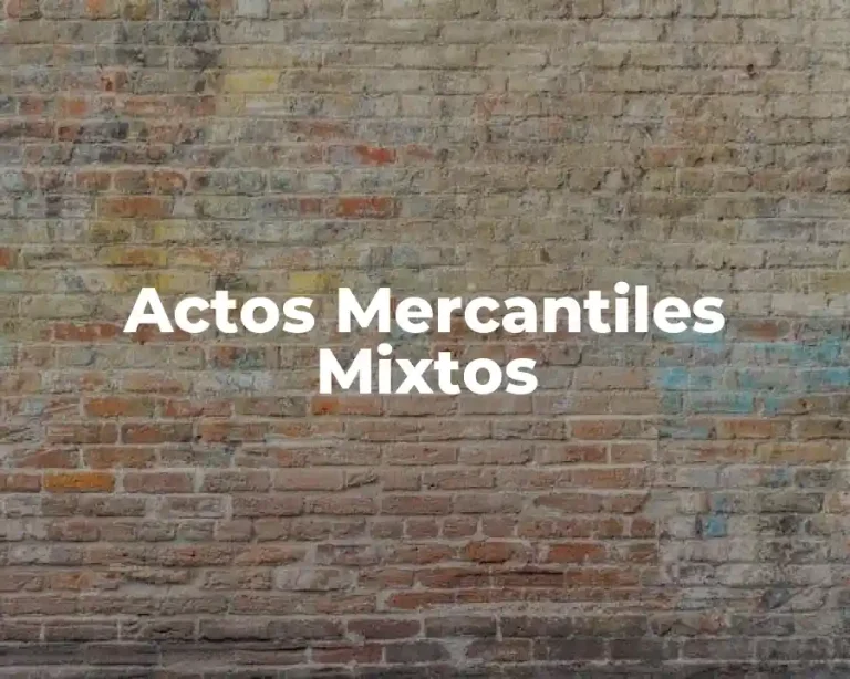Actos Mercantiles Mixtos