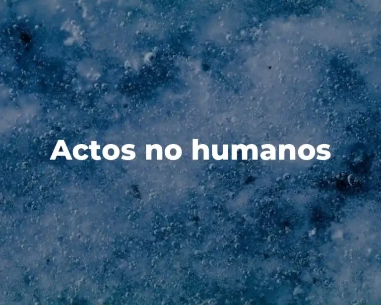 Actos no humanos