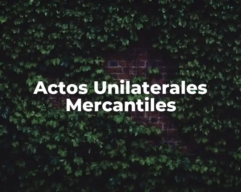 Actos Unilaterales Mercantiles