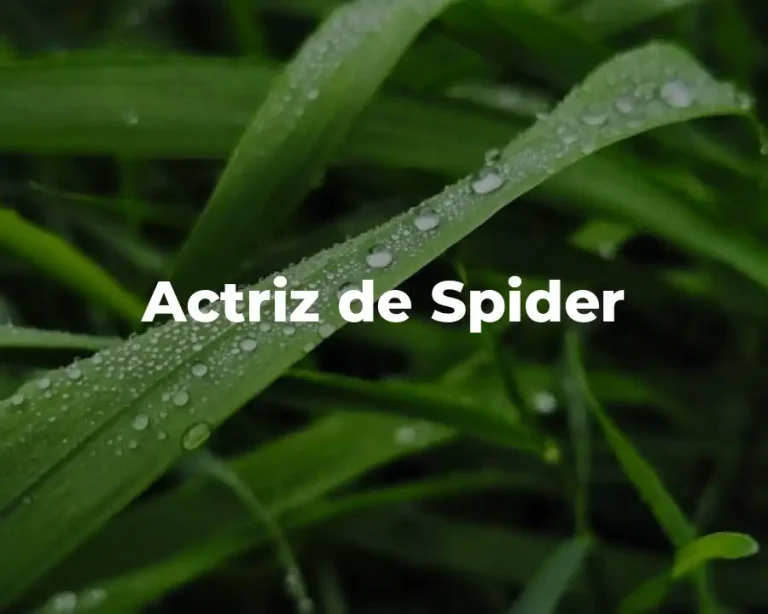 Actriz de Spider