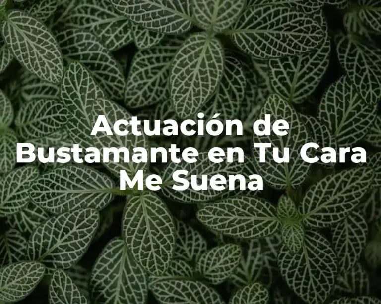 Actuación de Bustamante en Tu Cara Me Suena