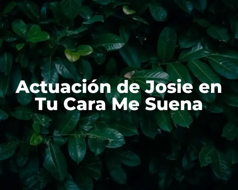 Actuación de Josie en Tu Cara Me Suena