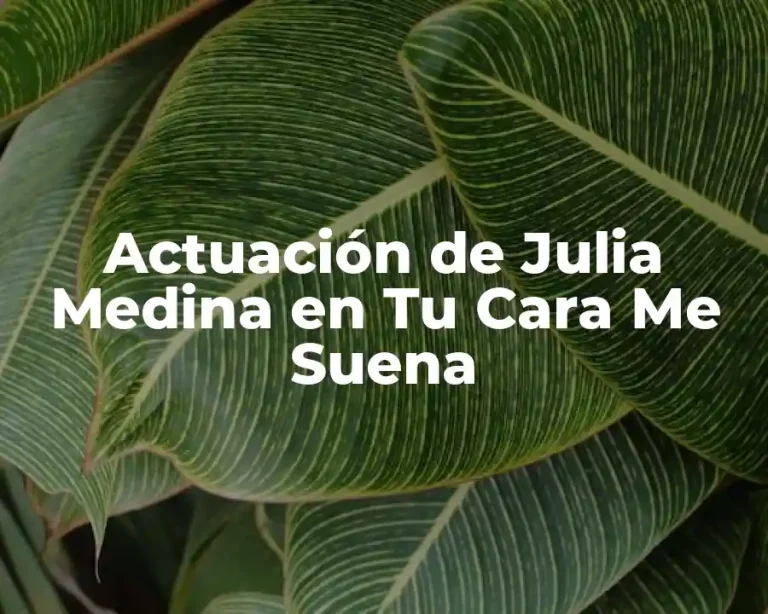 Actuación de Julia Medina en Tu Cara Me Suena