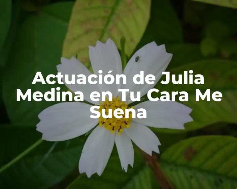 Actuación de Julia Medina en Tu Cara Me Suena