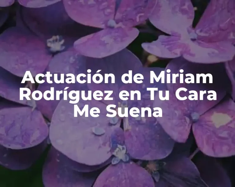 Actuación de Miriam Rodríguez en Tu Cara Me Suena