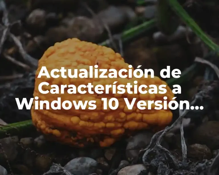 Actualización de Características a Windows 10 Versión 22H2 Descargar