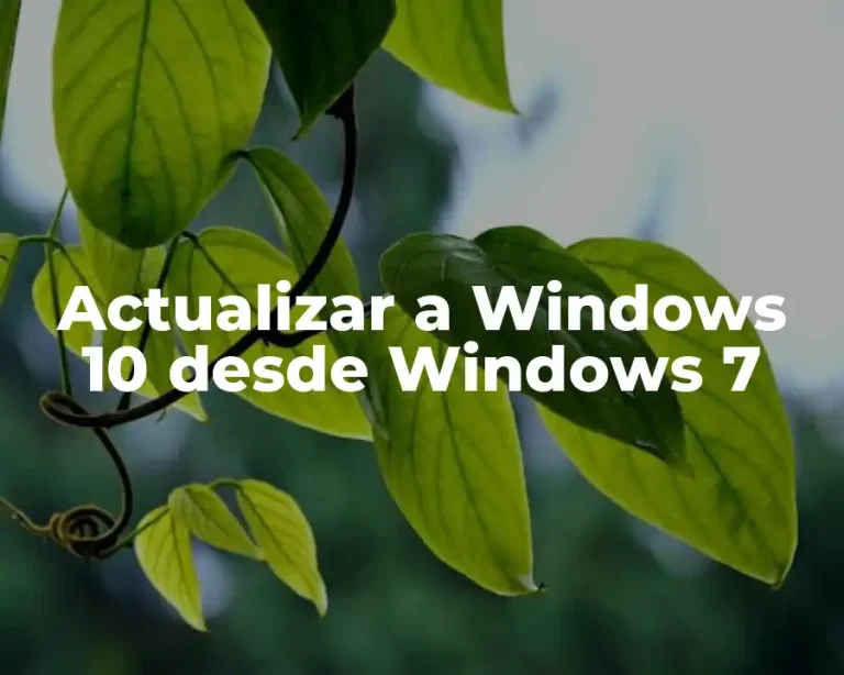 Actualizar a Windows 10 desde Windows 7