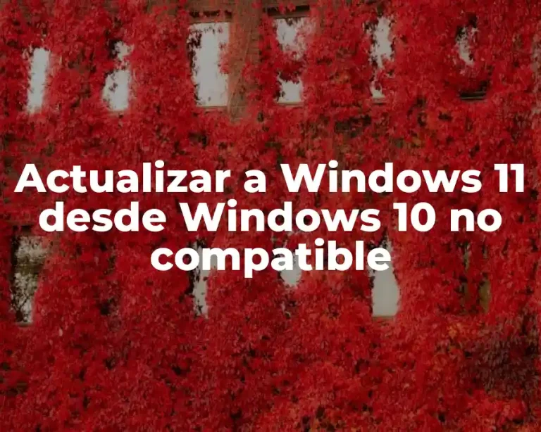Actualizar a Windows 11 desde Windows 10 no compatible