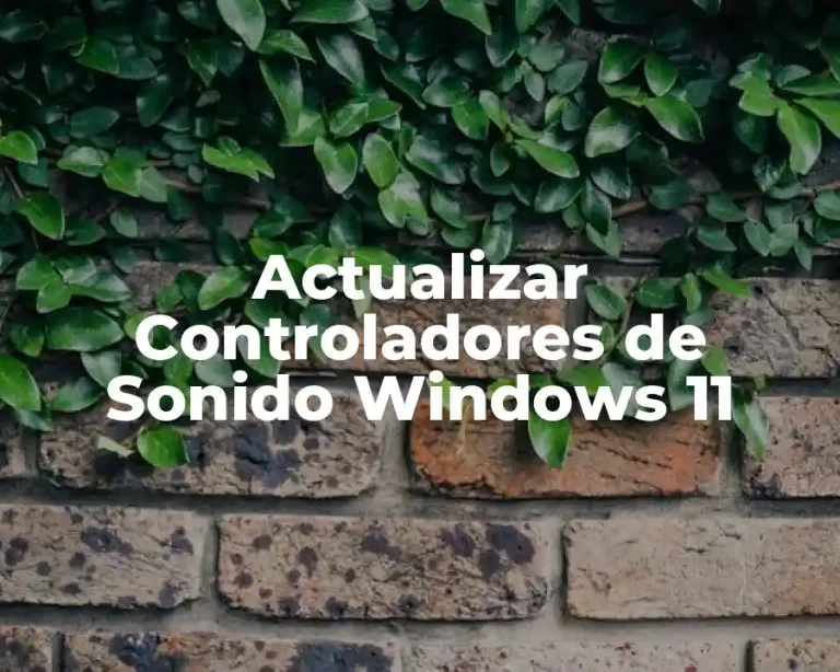 Actualizar Controladores de Sonido Windows 11