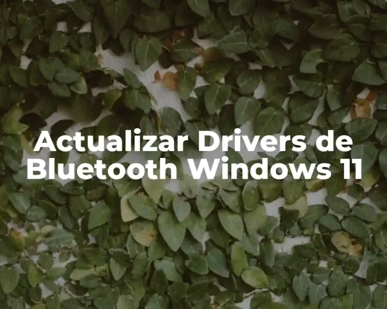 Actualizar Drivers de Bluetooth Windows 11