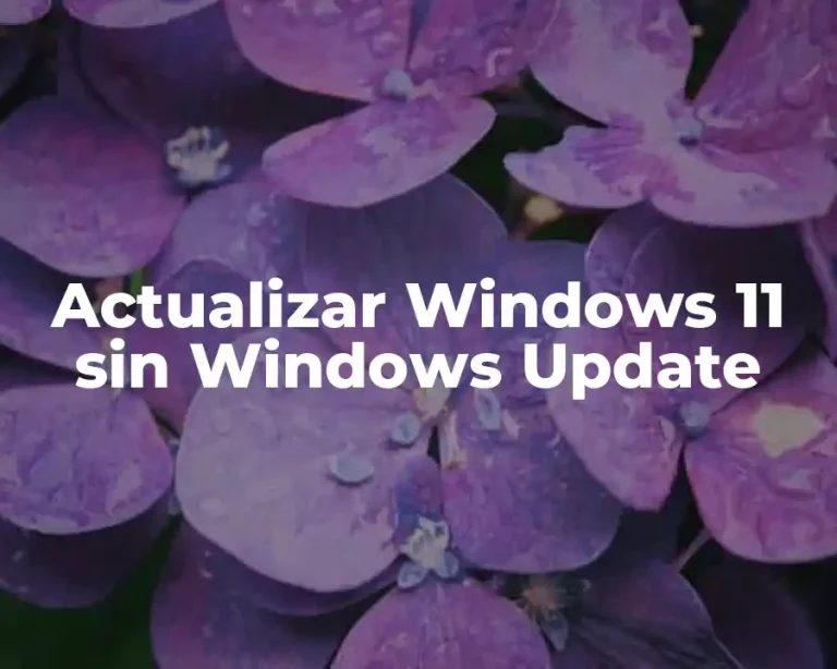 Actualizar Windows 11 sin Windows Update