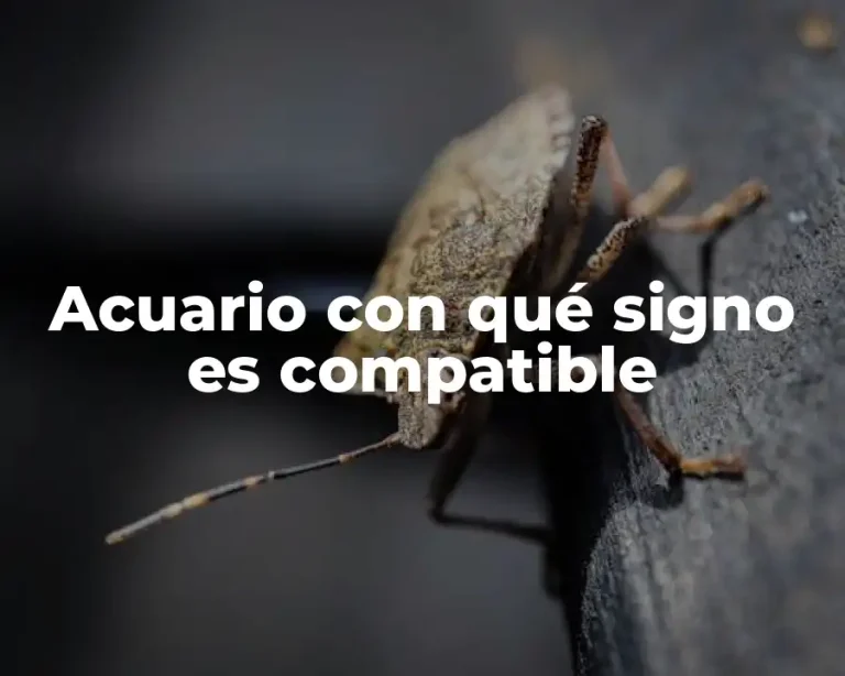 Acuario con qué signo es compatible