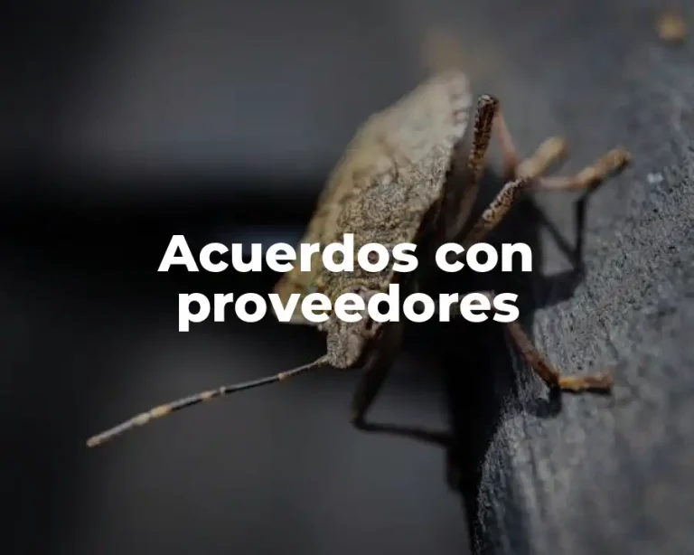 Acuerdos con proveedores