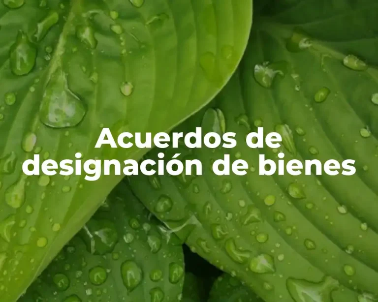 Acuerdos de designación de bienes
