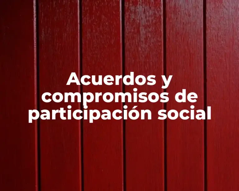 Acuerdos y compromisos de participación social