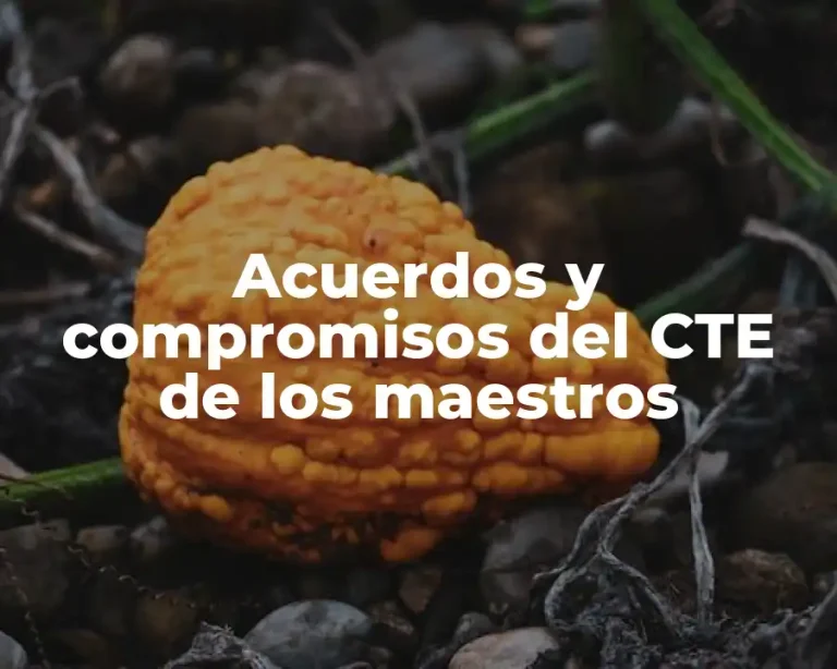 Acuerdos y compromisos del CTE de los maestros