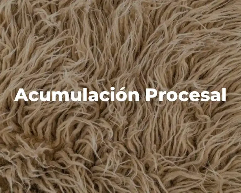 Acumulación Procesal