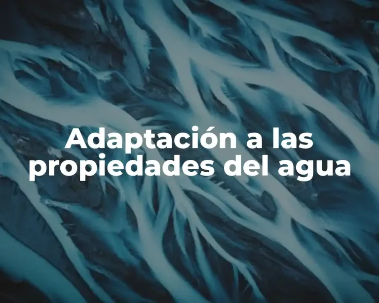 Adaptación a las propiedades del agua