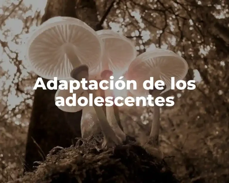 Adaptación de los adolescentes