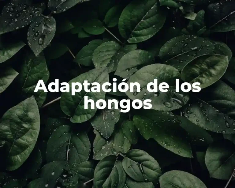Adaptación de los hongos