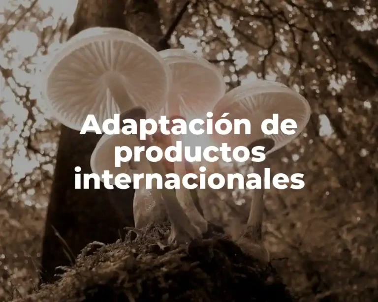 Adaptación de productos internacionales