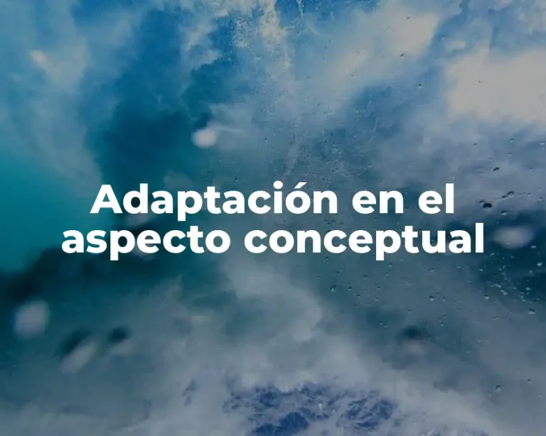 Adaptación en el aspecto conceptual