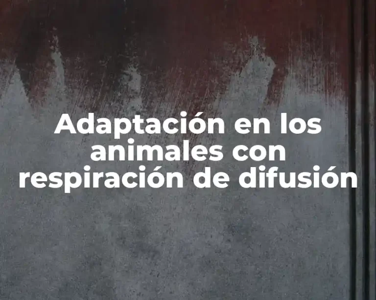 Adaptación en los animales con respiración de difusión