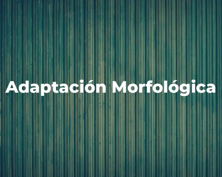 Adaptación Morfológica