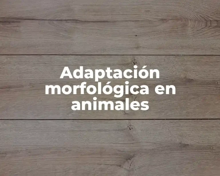 Adaptación morfológica en animales
