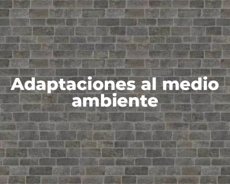 Adaptaciones al medio ambiente