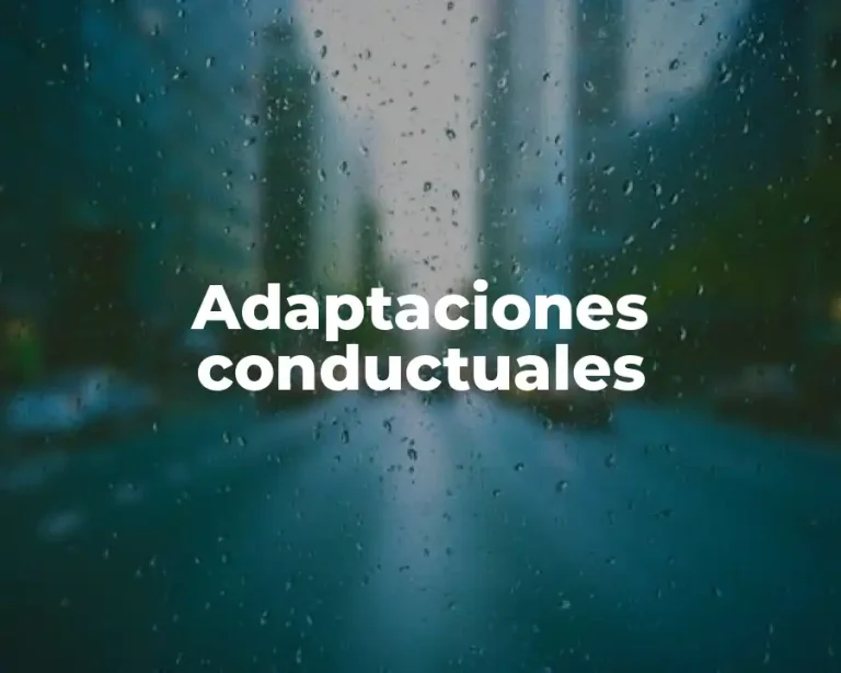 Adaptaciones conductuales