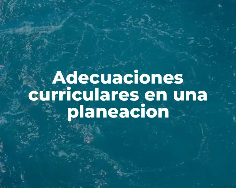 Adecuaciones curriculares en una planeacion